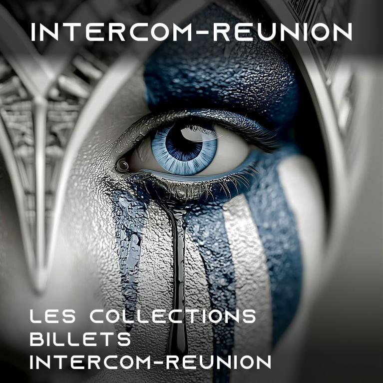 Les-collections-Fr-de-la-reunion